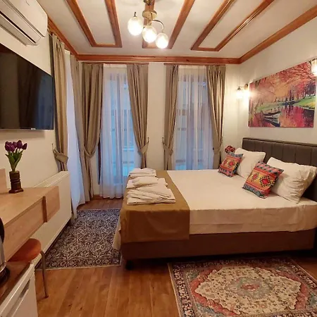 Fevzi Pasa Отель типа 